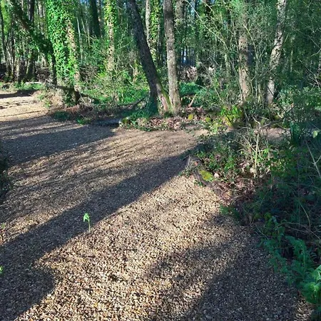 Stunning French For 4 In Loire *